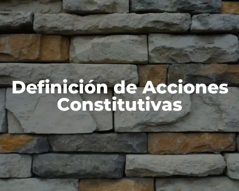 Definición de Acciones Constitutivas