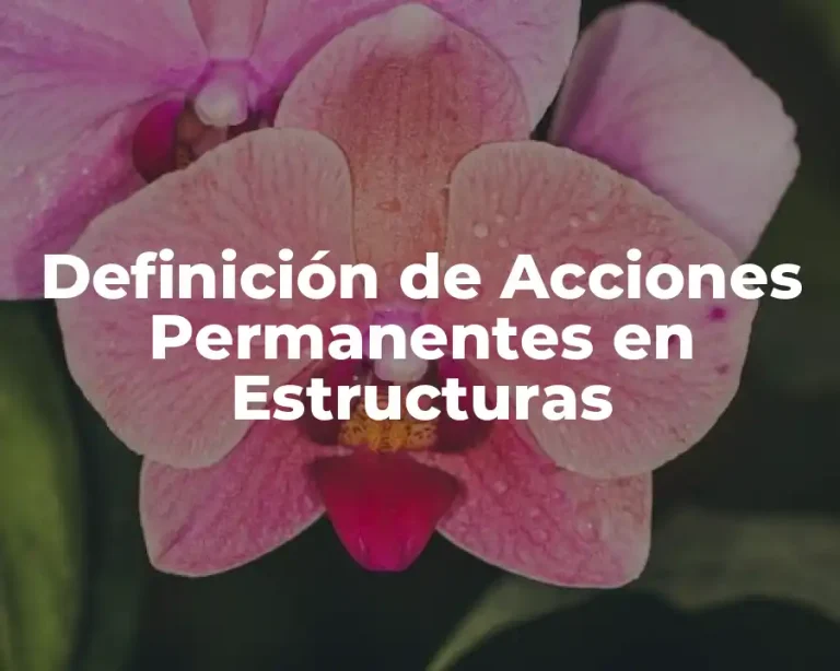 Definición de Acciones Permanentes en Estructuras