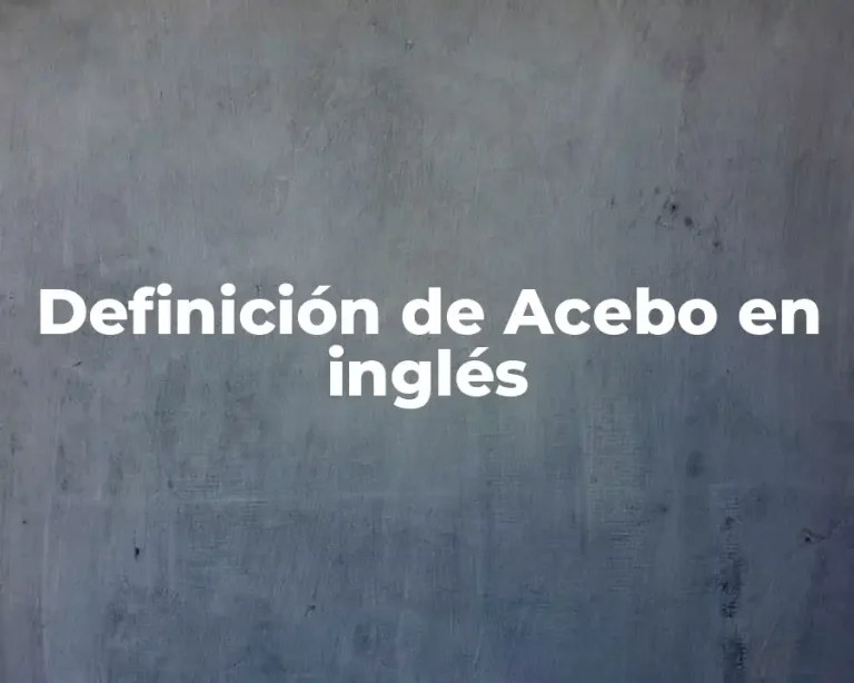 Definición de Acebo en inglés