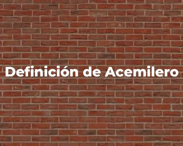 Definición de Acemilero