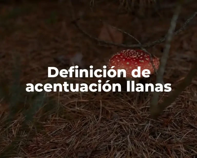 Definición de acentuación llanas
