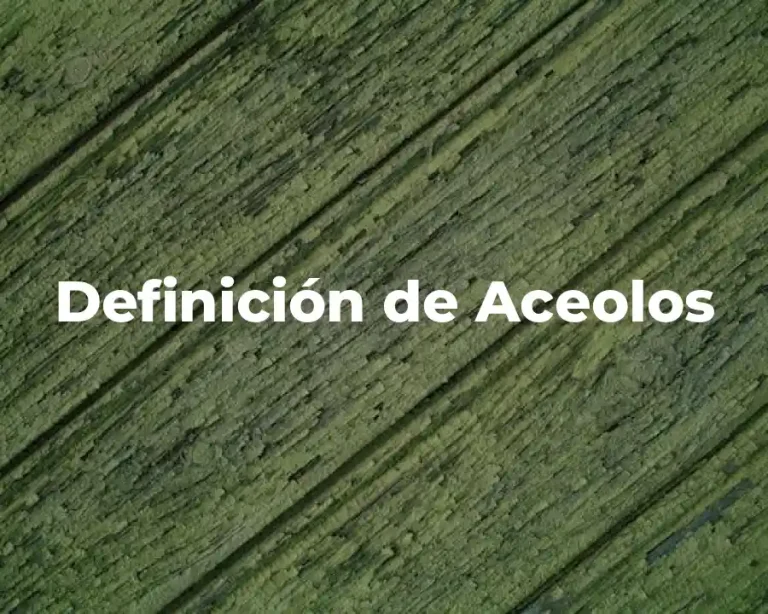 Definición de Aceolos
