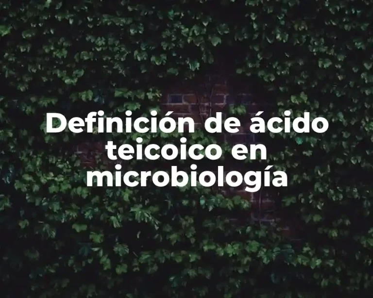 Definición de ácido teicoico en microbiología