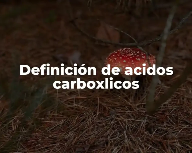 Definición de acidos carboxlicos