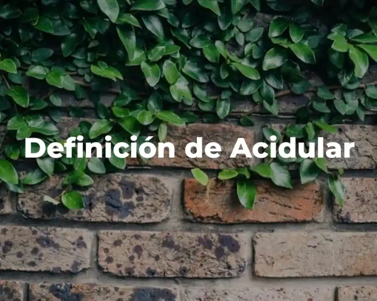 Definición de Acidular