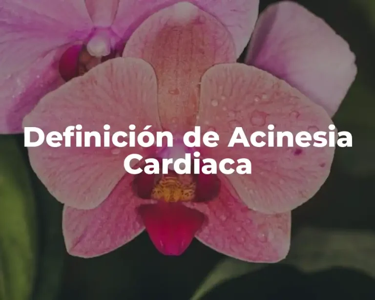 Definición de Acinesia Cardiaca