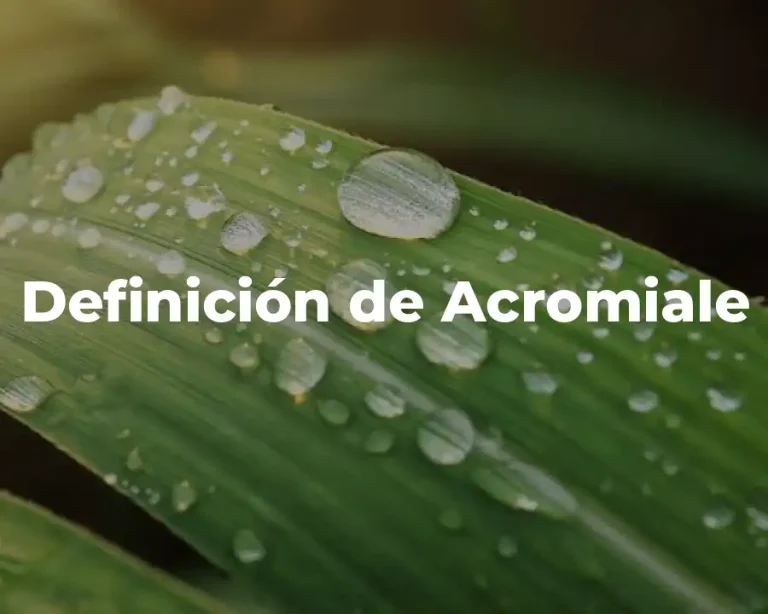 Definición de Acromiale