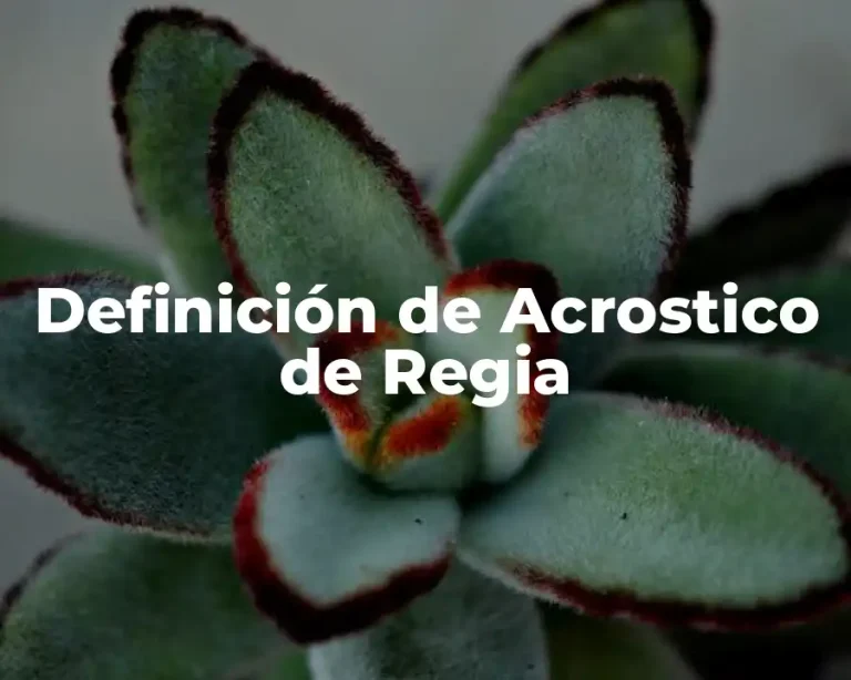 Definición de Acrostico de Regia