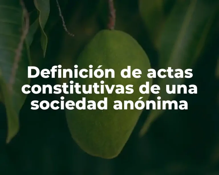 Definición de actas constitutivas de una sociedad anónima