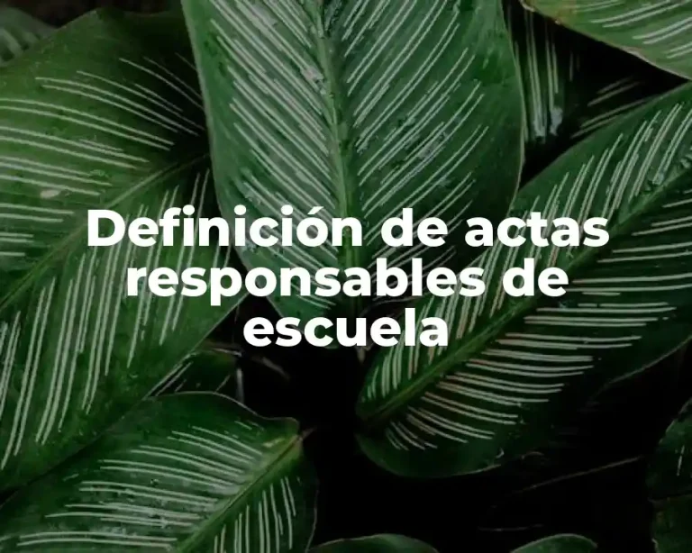 Definición de actas responsables de escuela