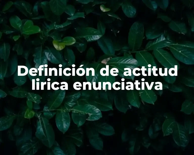 Definición de actitud lirica enunciativa