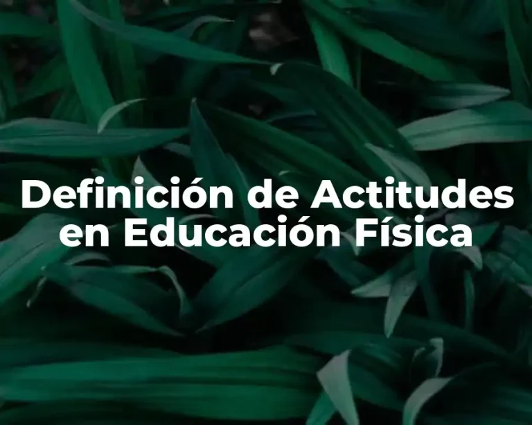 Definición de Actitudes en Educación Física