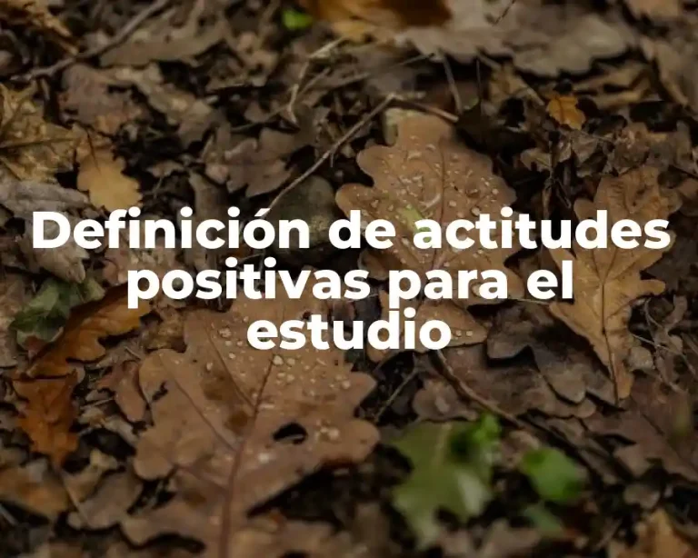 Definición de actitudes positivas para el estudio