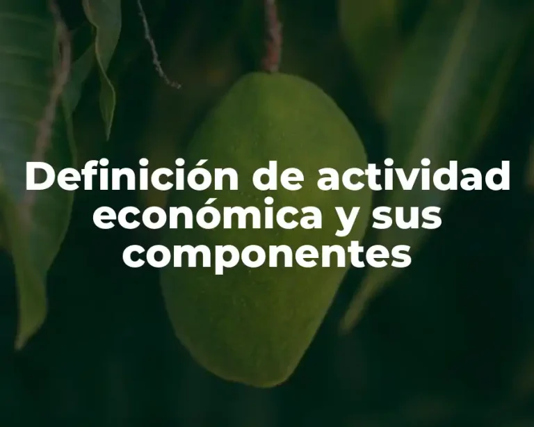 Definición de actividad económica y sus componentes