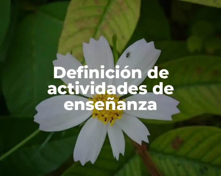 Definición de actividades de enseñanza