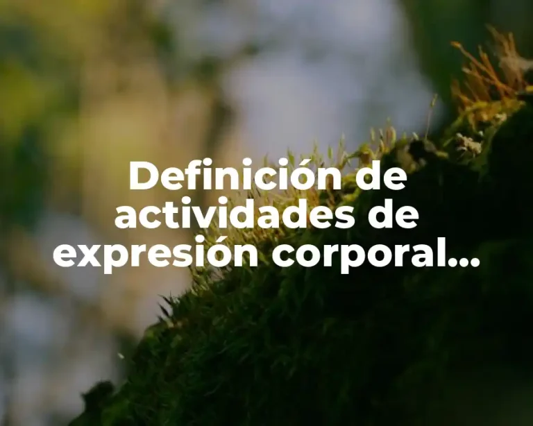 Definición de actividades de expresión corporal educación física
