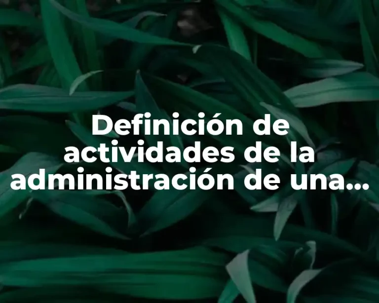 Definición de actividades de la administración de una empresa