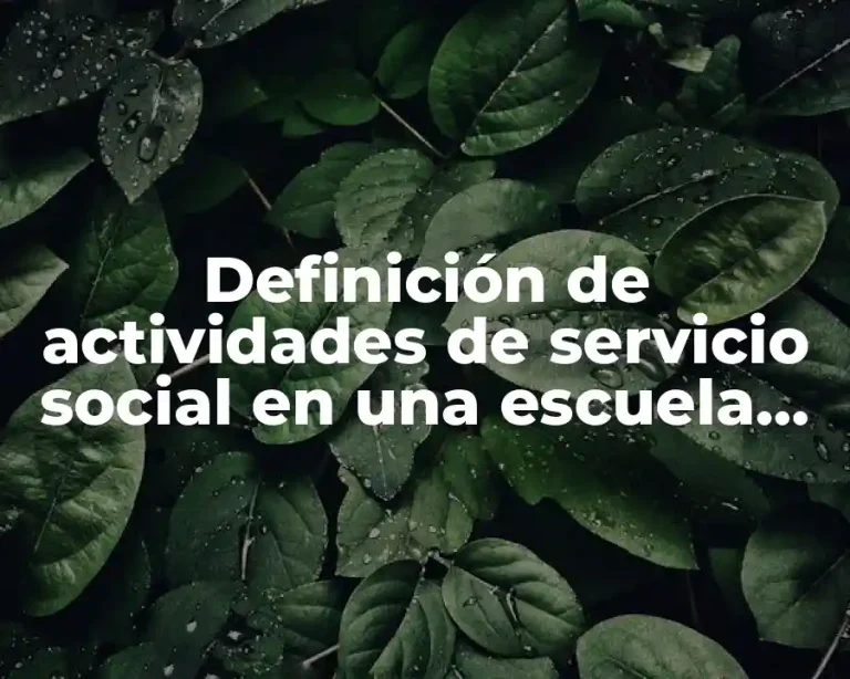 Definición de actividades de servicio social en una escuela primaria