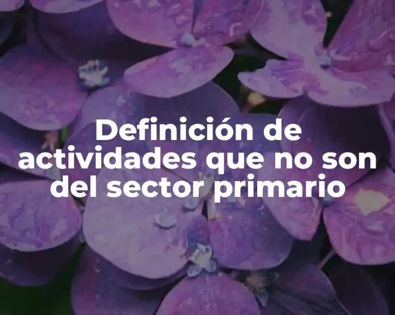 Definición de actividades que no son del sector primario