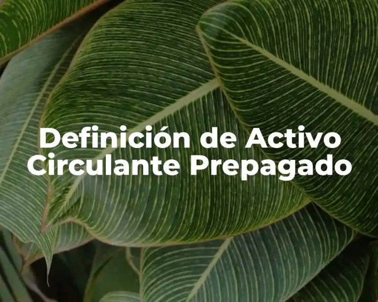 Definición de Activo Circulante Prepagado