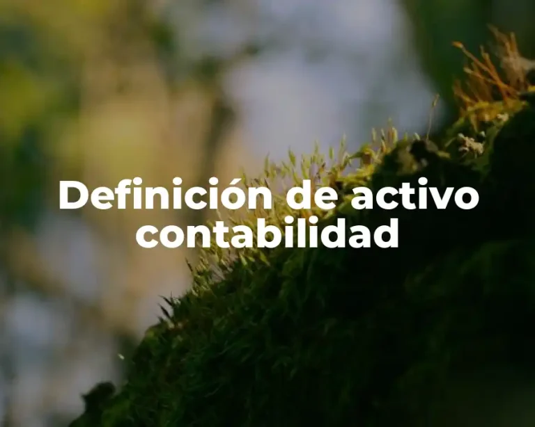 Definición de activo contabilidad