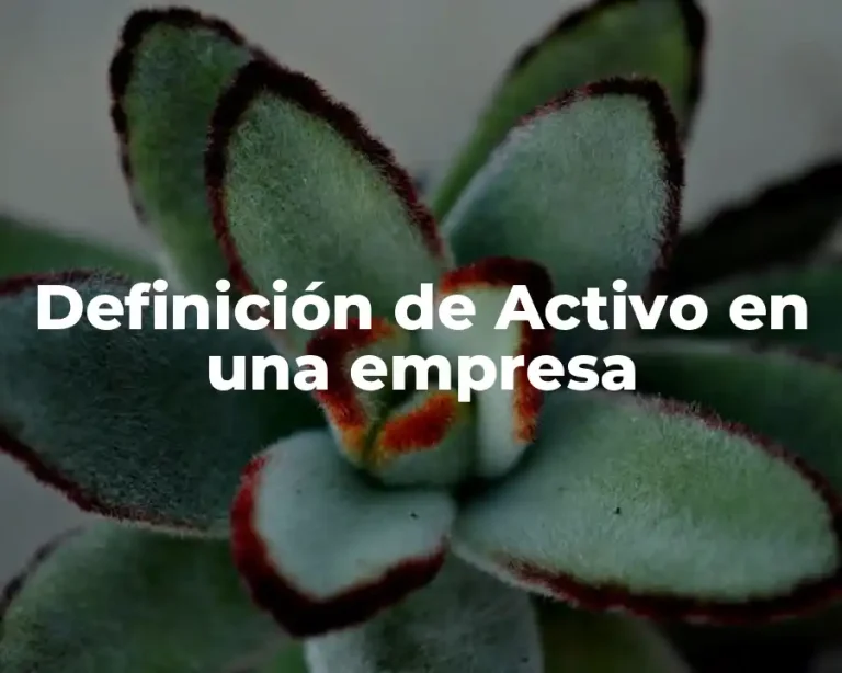 Definición de Activo en una empresa