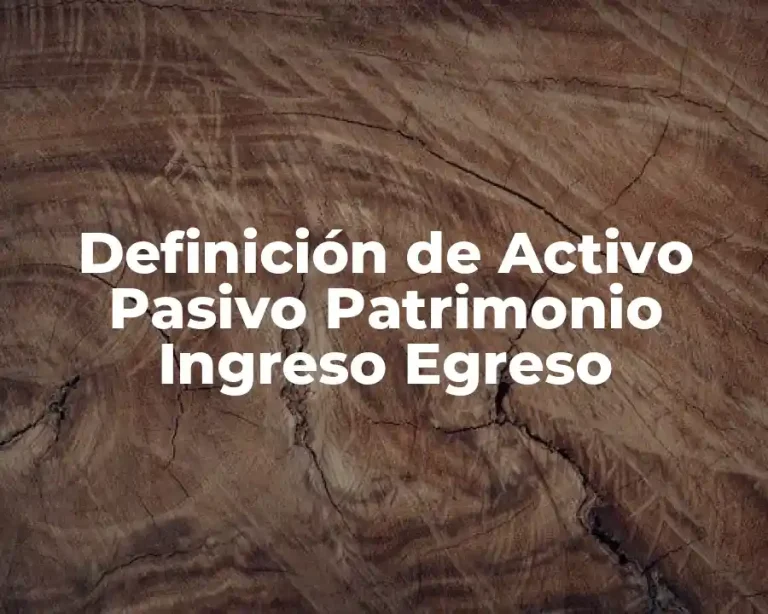 Definición de Activo Pasivo Patrimonio Ingreso Egreso