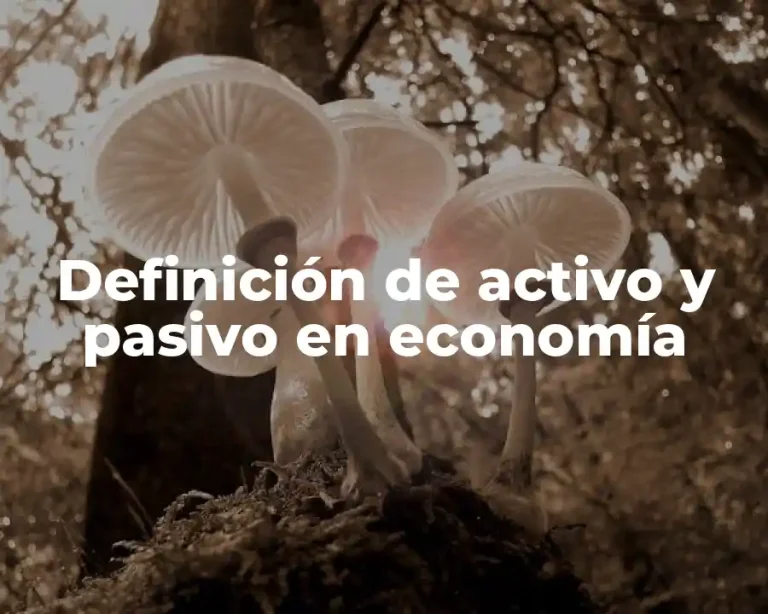 Definición de activo y pasivo en economía
