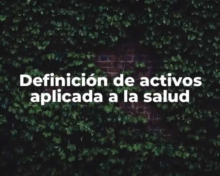 Definición de activos aplicada a la salud