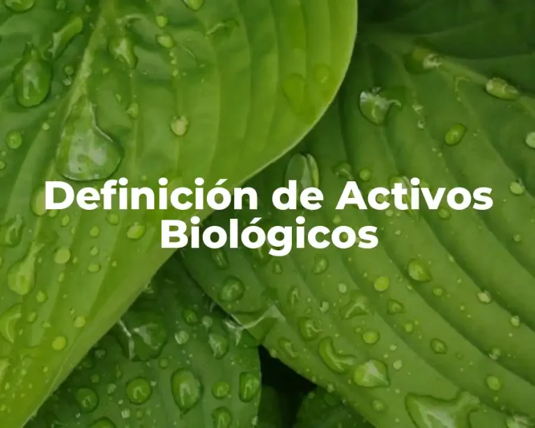 Definición de Activos Biológicos