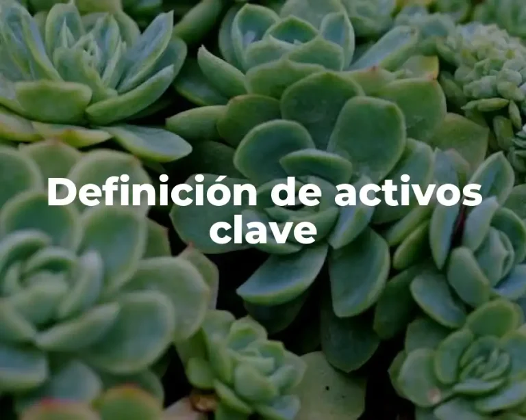 Definición de activos clave
