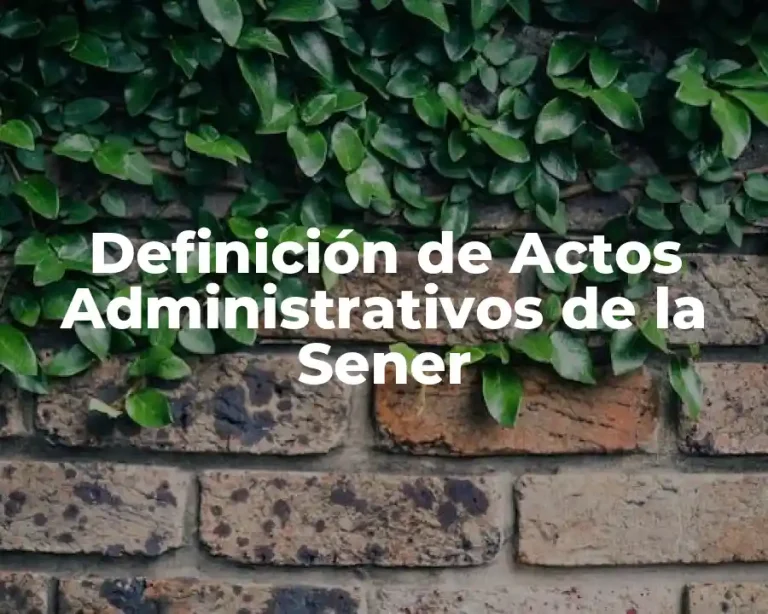 Definición de Actos Administrativos de la Sener