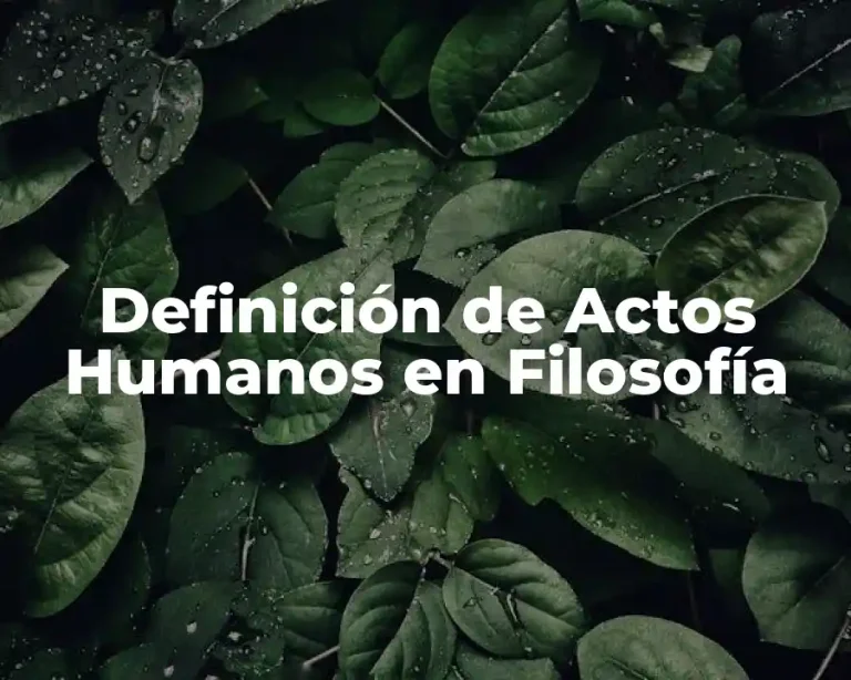 Definición de Actos Humanos en Filosofía