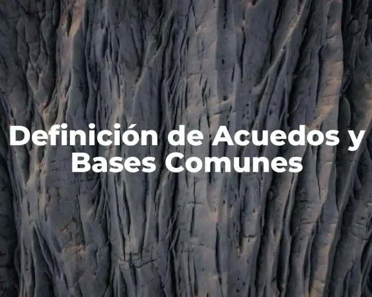 Definición de Acuedos y Bases Comunes