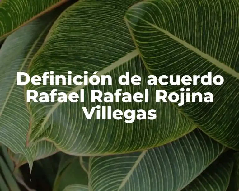 Definición de acuerdo Rafael Rafael Rojina Villegas