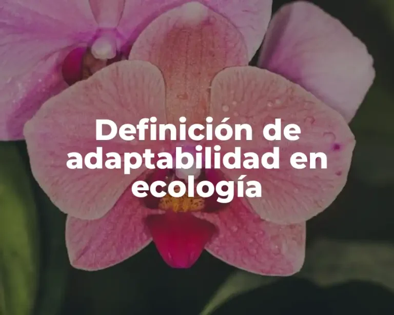 Definición de adaptabilidad en ecología