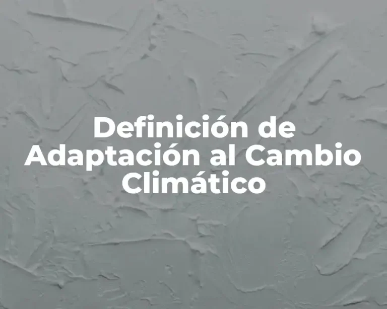 Definición de Adaptación al Cambio Climático