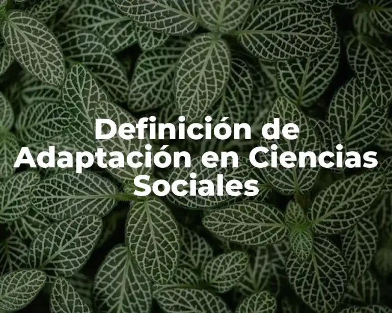 Definición de Adaptación en Ciencias Sociales