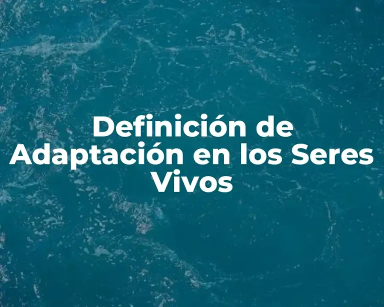 Definición de Adaptación en los Seres Vivos