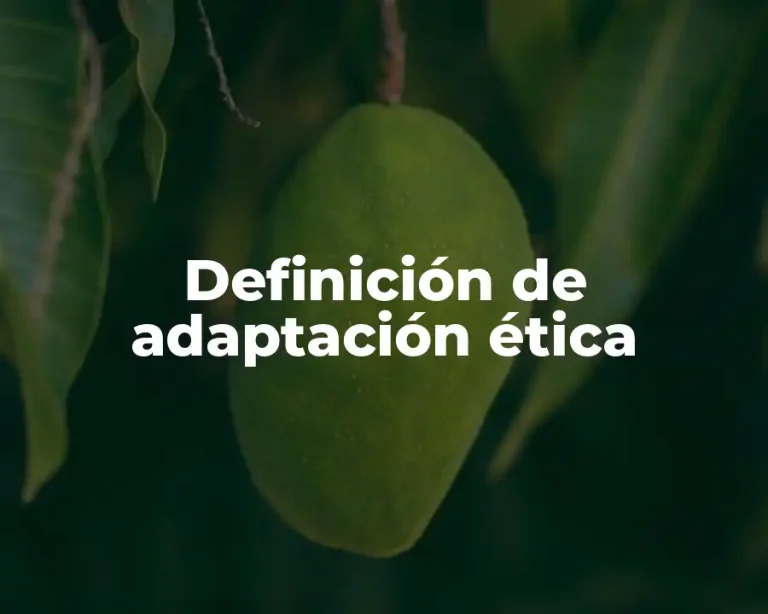 Definición de adaptación ética