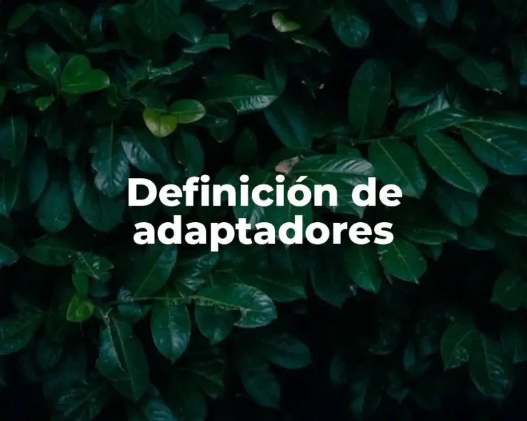 Definición de adaptadores