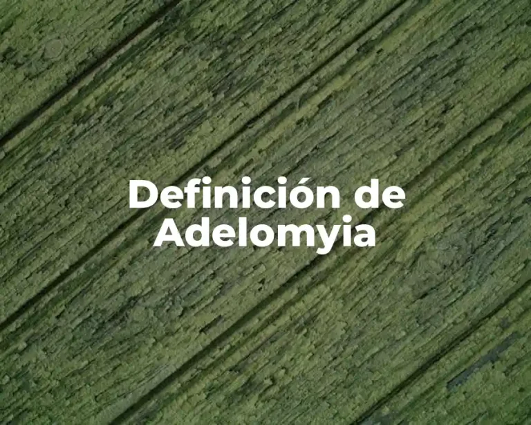 Definición de Adelomyia