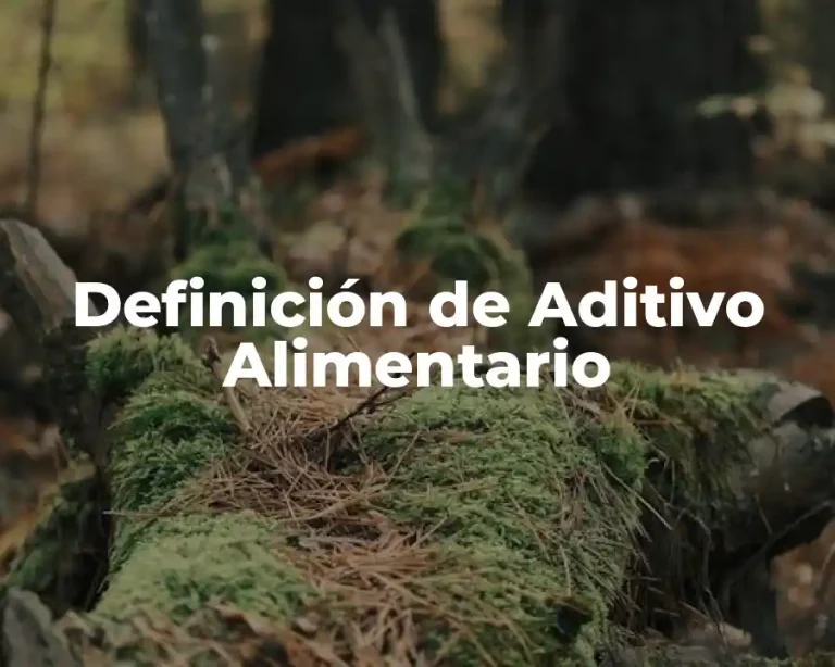 Definición de Aditivo Alimentario