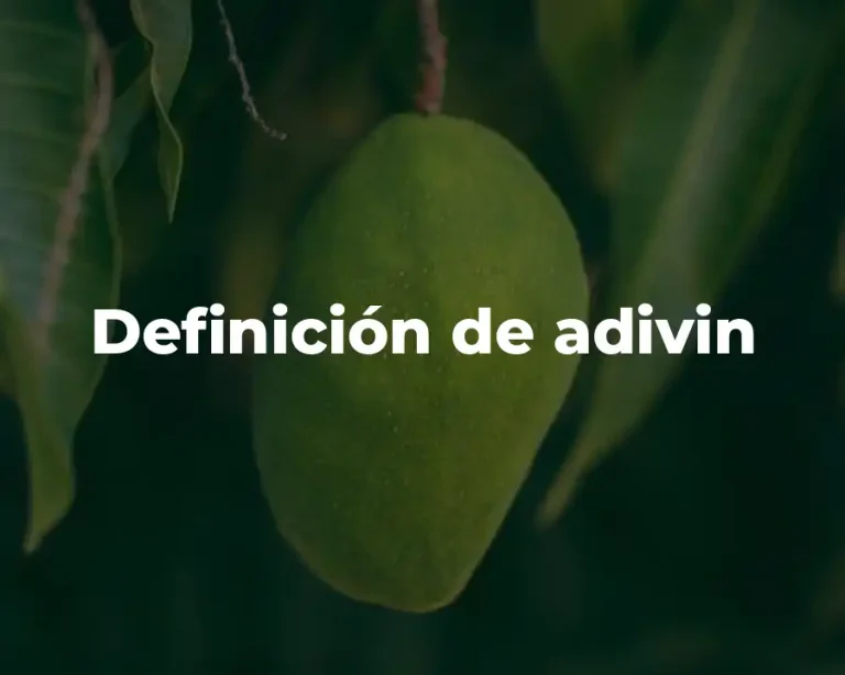 Definición de adivin