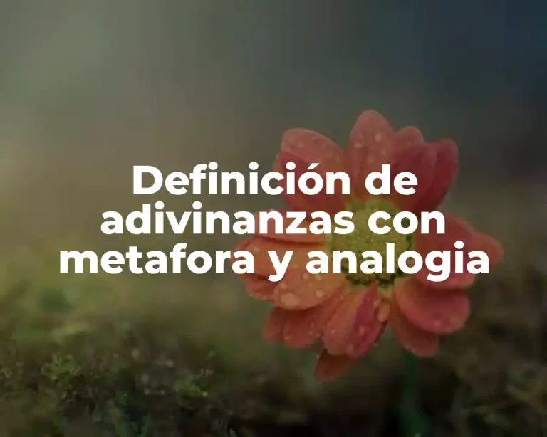 Definición de adivinanzas con metafora y analogia