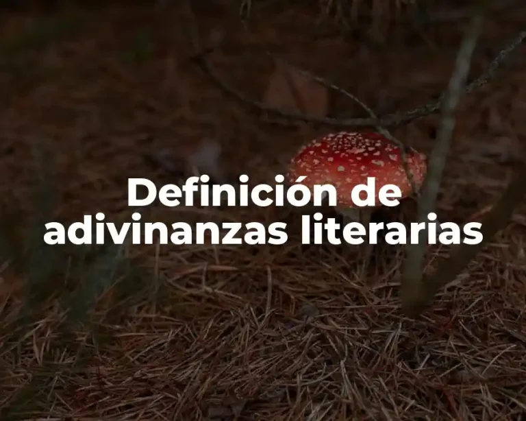 Definición de adivinanzas literarias