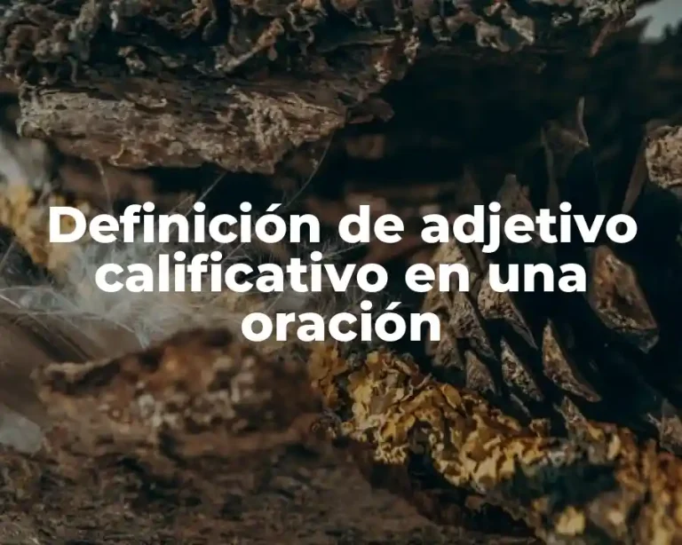 Definición de adjetivo calificativo en una oración