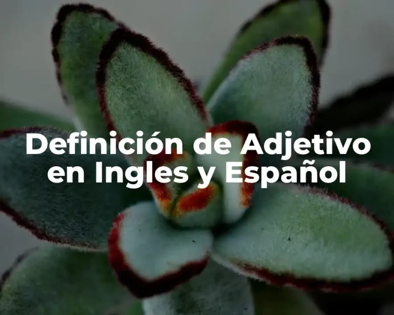 Definición de Adjetivo en Ingles y Español