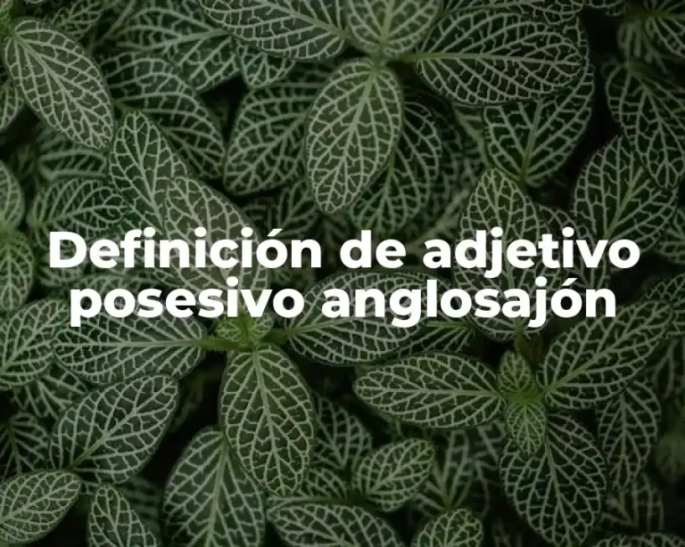 Definición de adjetivo posesivo anglosajón