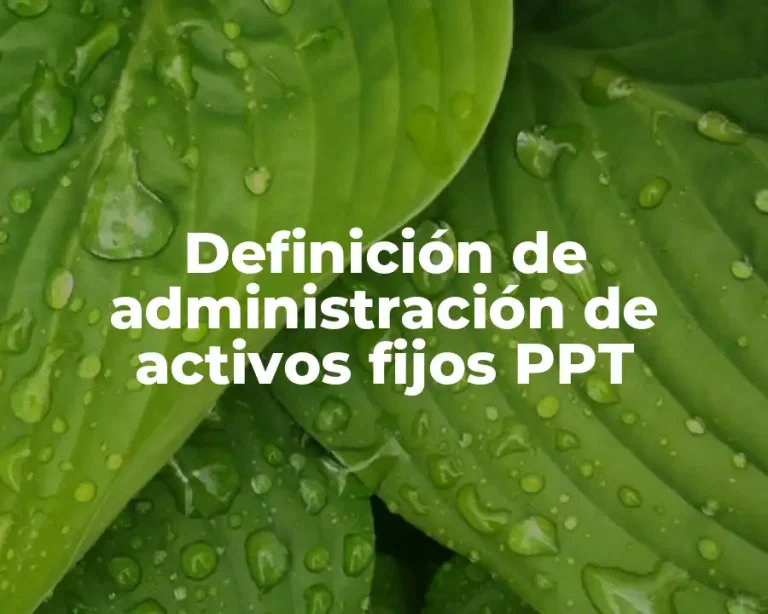 Definición de administración de activos fijos PPT